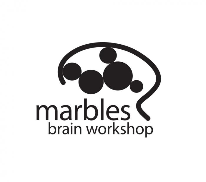 MARBLES BRAIN WORKSHOPWORKSHOP