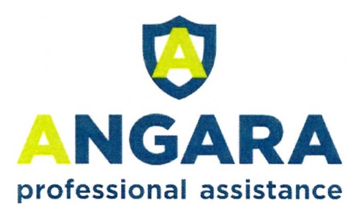 ANGARA PROFESSIONAL ASSISTANCEASSISTANCE