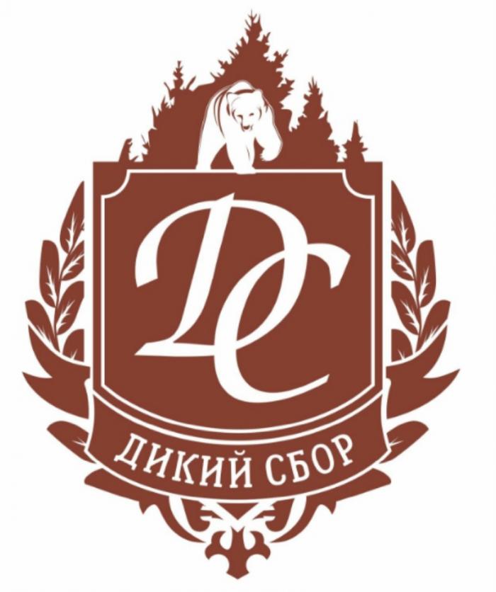 ДС ДИКИЙ СБОРСБОР