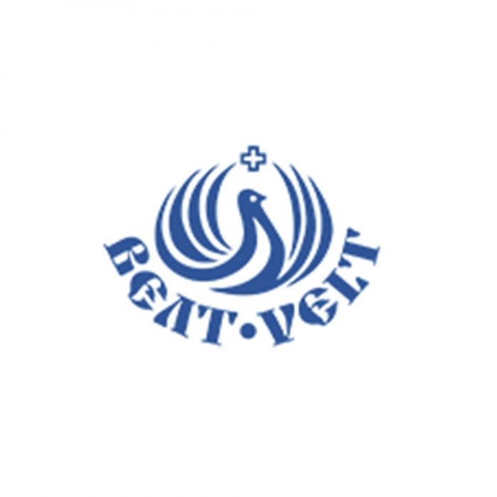 ВЕЛТ VELTVELT