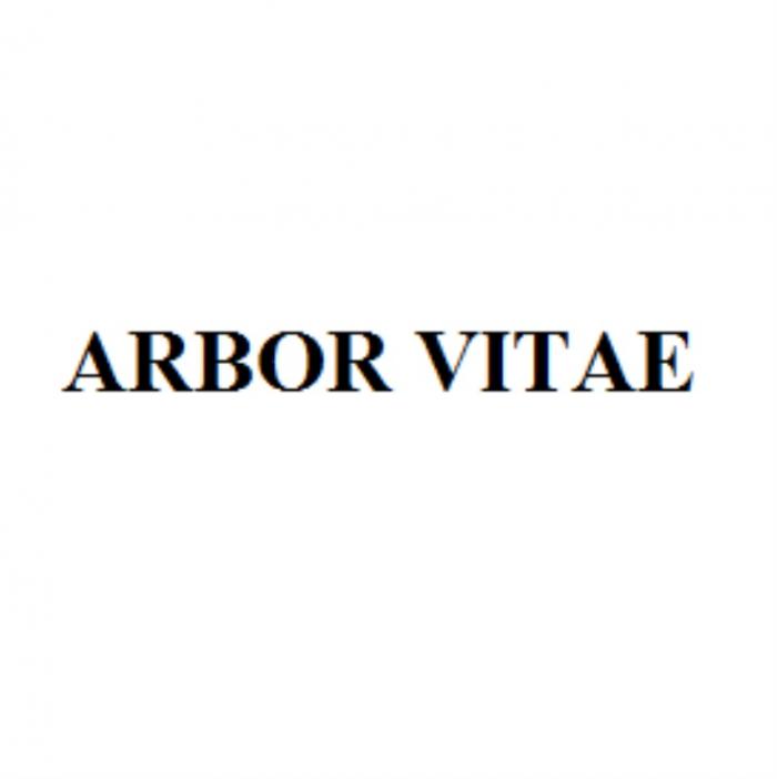 ARBOR VITAEVITAE