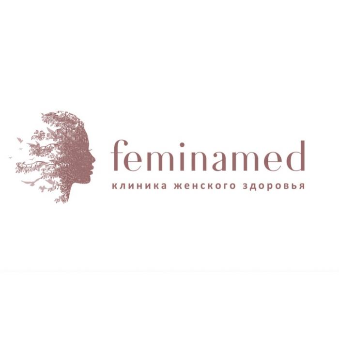 FEMINAMED КЛИНИКА ЖЕНСКОГО ЗДОРОВЬЯЗДОРОВЬЯ