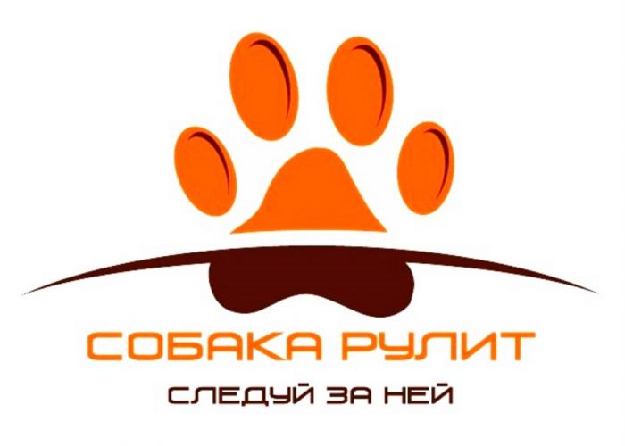 СОБАКА РУЛИТ СЛЕДУЙ ЗА НЕЙНЕЙ