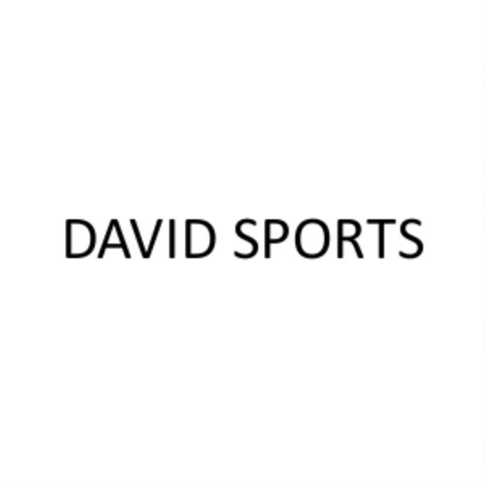DAVID SPORTSSPORTS