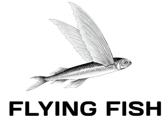 FLYING FISHFISH