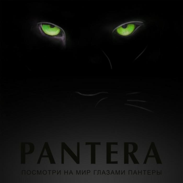 PANTERA ПОСМОТРИ НА МИР ГЛАЗАМИ ПАНТЕРЫПАНТЕРЫ