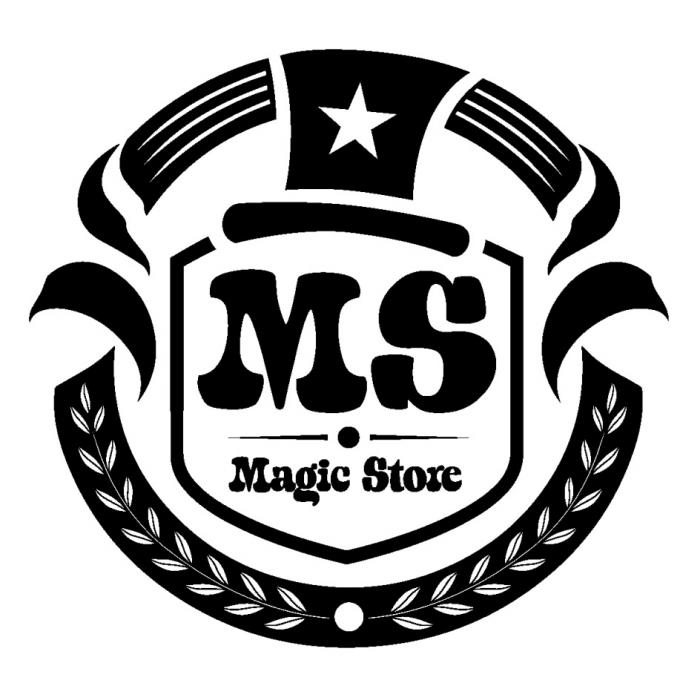 MS MAGIC STORESTORE
