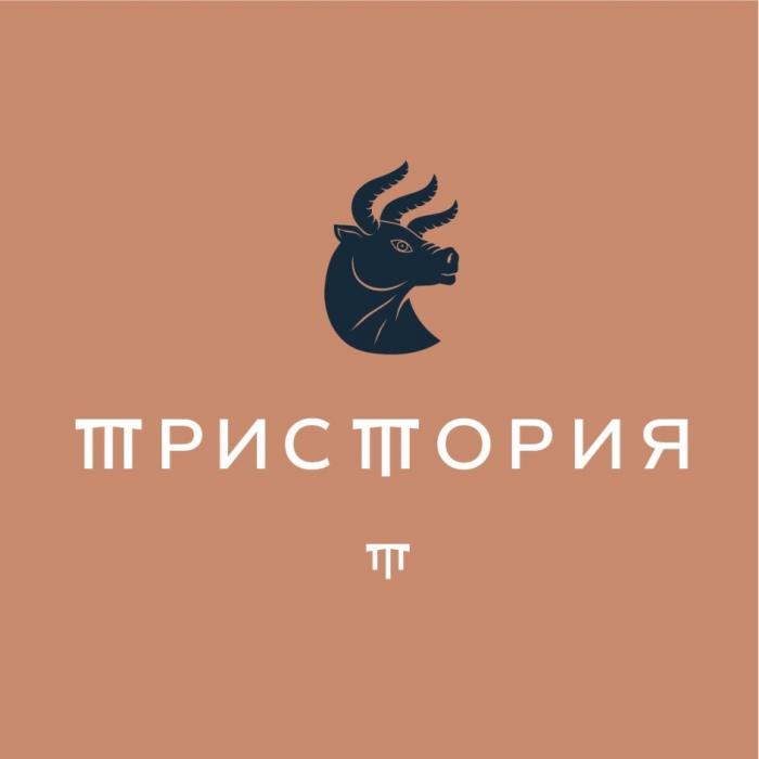 ТРИСТОРИЯ ТТ