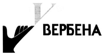 ВЕРБЕНА