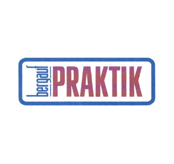 BERGAUF PRAKTIKPRAKTIK