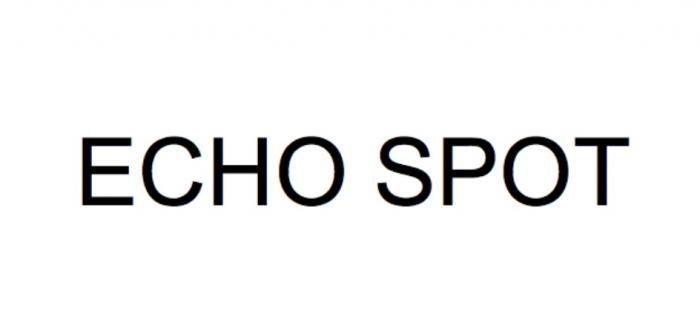 ECHO SPOTSPOT