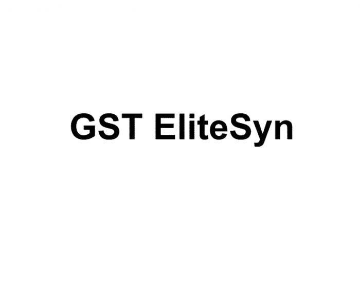 GST ELITESYNELITESYN