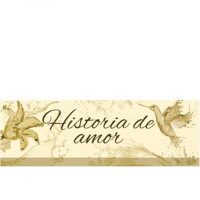HISTORIA DE AMORAMOR