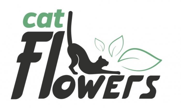 CAT FLOWERSFLOWERS