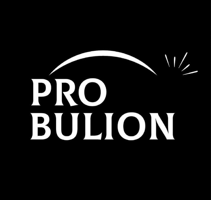 PRO BULION КОСТНЫЙ БУЛЬОНБУЛЬОН