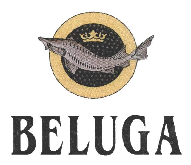 BELUGABELUGA