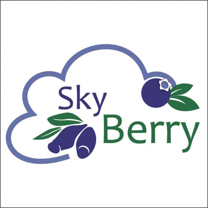 SKY BERRYBERRY