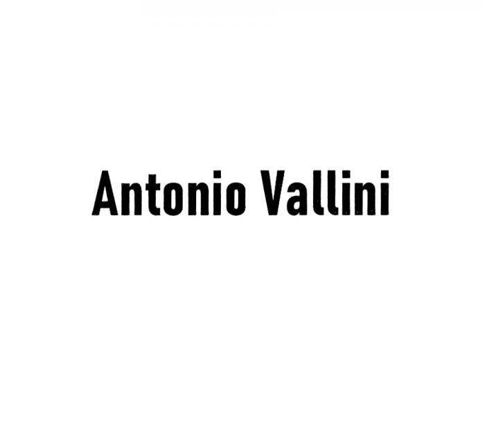 ANTONIO VALLINIVALLINI