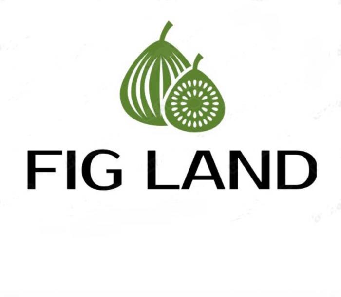 FIG LANDLAND