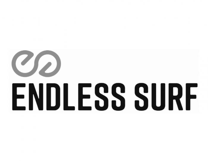 ENDLESS SURFSURF