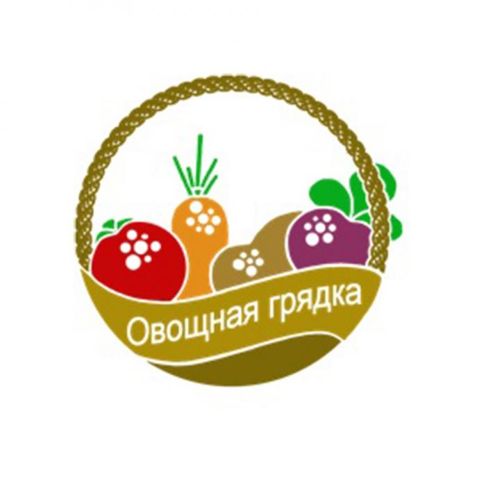 ОВОЩНАЯ ГРЯДКАГРЯДКА