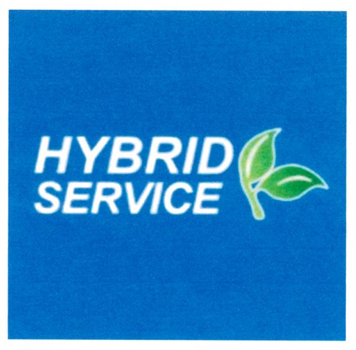 HYBRID SERVICESERVICE