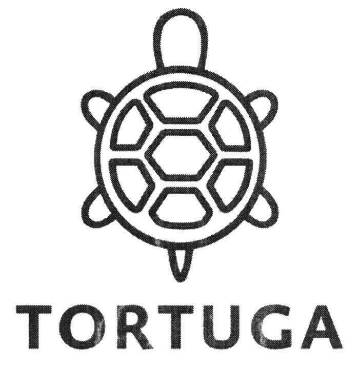 TORTUGATORTUGA