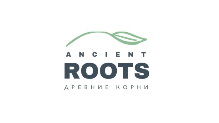 ANCIENT ROOTS ДРЕВНИЕ КОРНИКОРНИ