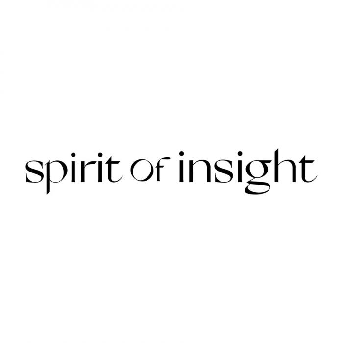 SPIRIT OF INSIGHT
