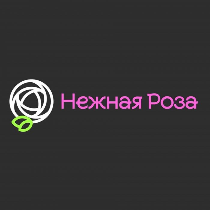 НЕЖНАЯ РОЗА