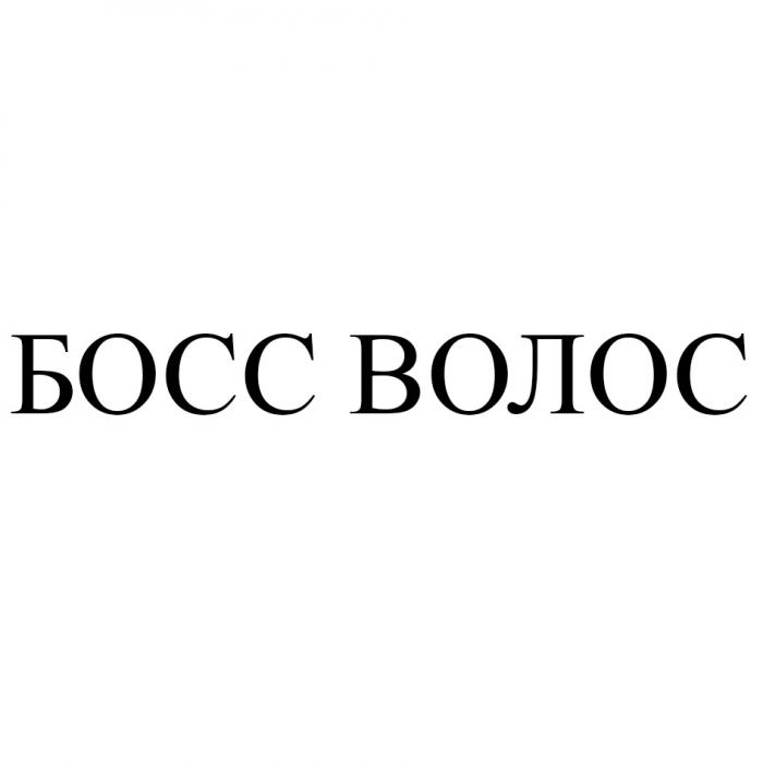 БОСС ВОЛОС