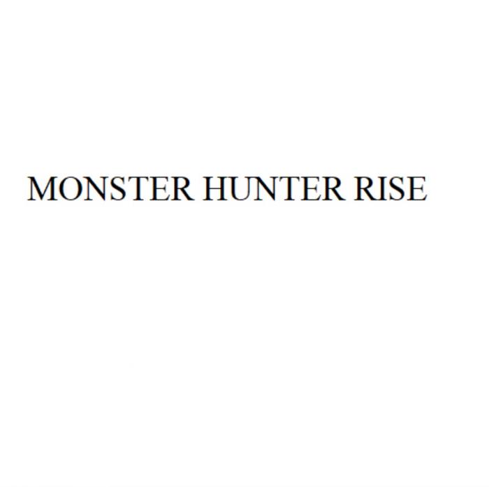 MONSTER HUNTER RISERISE