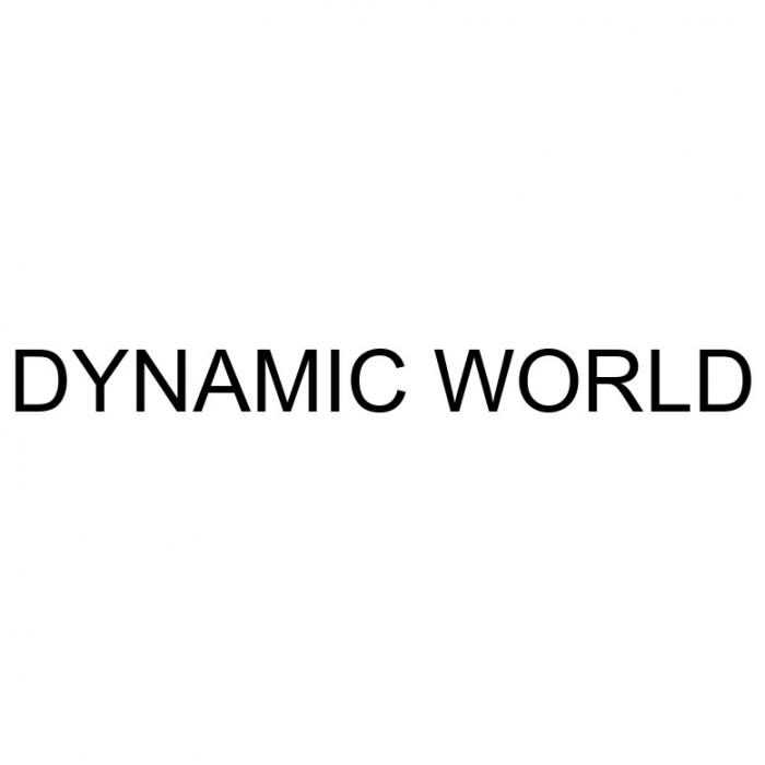 DYNAMIC WORLD