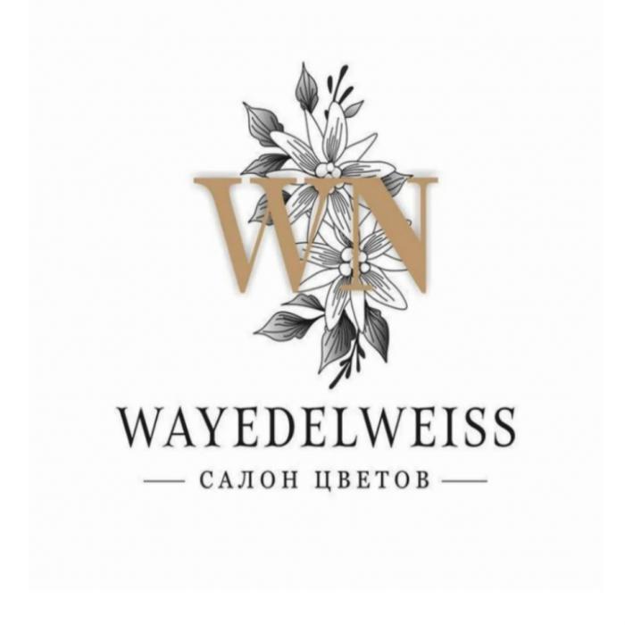 WN WAYEDELWEISS САЛОН ЦВЕТОВЦВЕТОВ