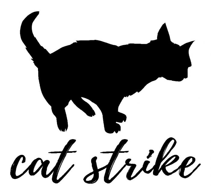 CAT STRIKESTRIKE