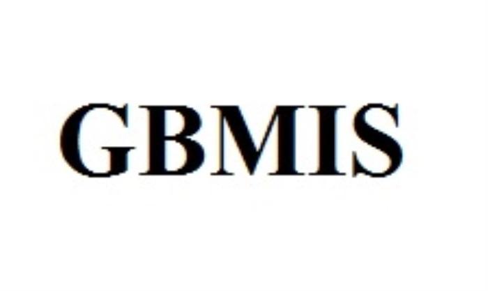 GBMIS
