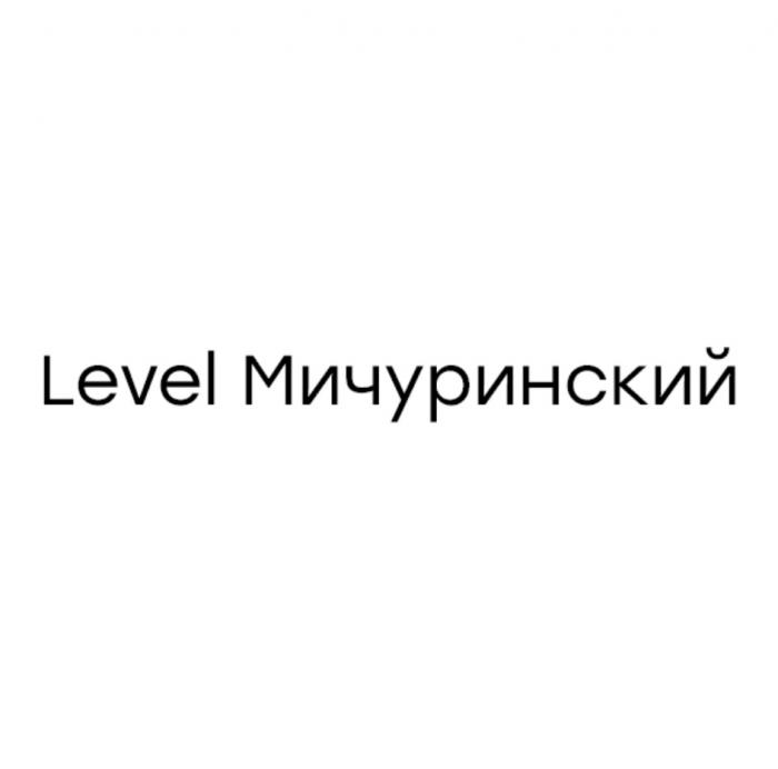 LEVEL МИЧУРИНСКИЙ