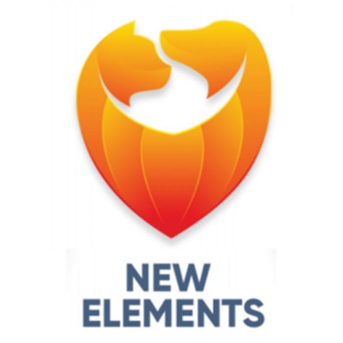 NEW ELEMENTS