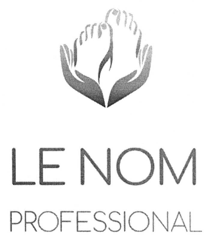 LE NOM PROFESSIONAL