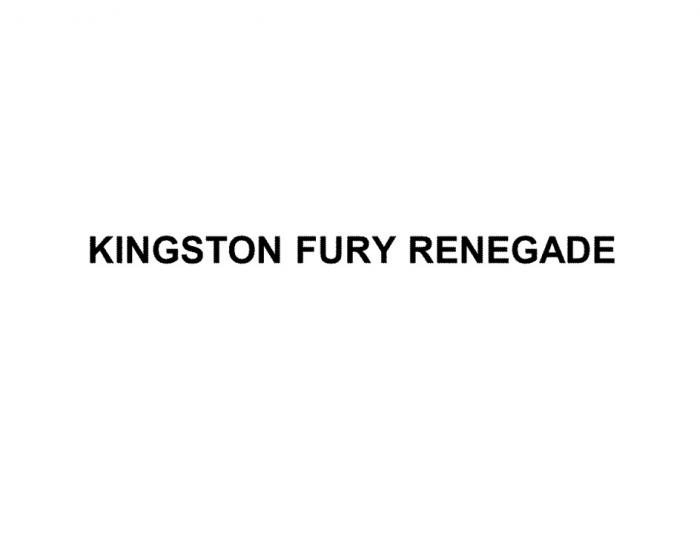 KINGSTON FURY RENEGADE