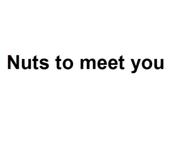 NUTS TO MEET YOU