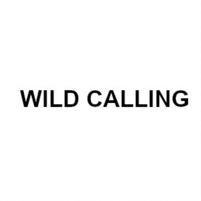WILD CALLING