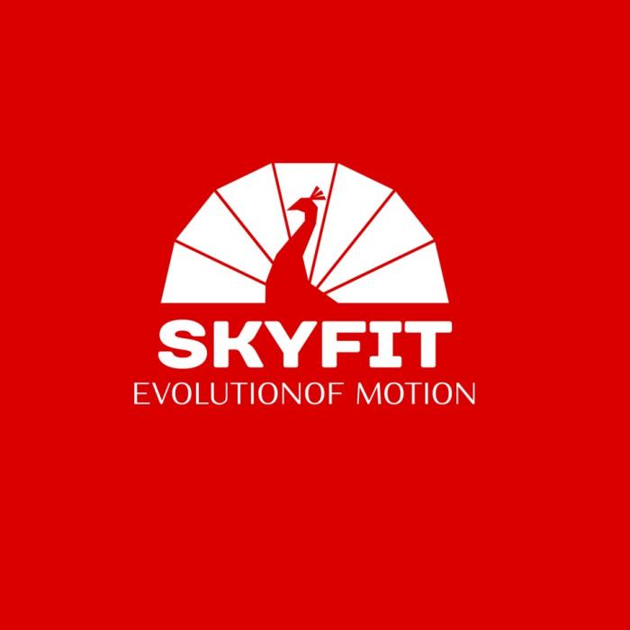 SKYFIT, EVOLUTION OF MOTIONSKYFIT>