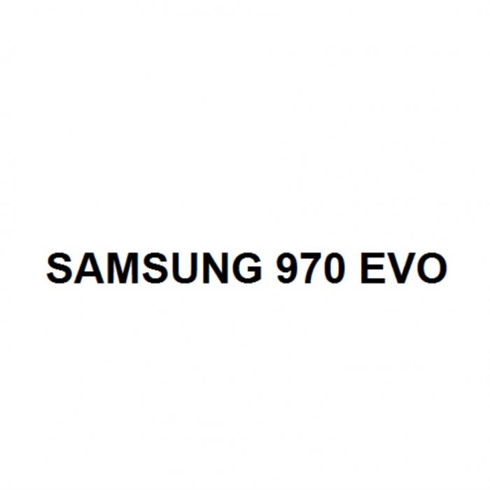 SAMSUNG 970 EVOEVO