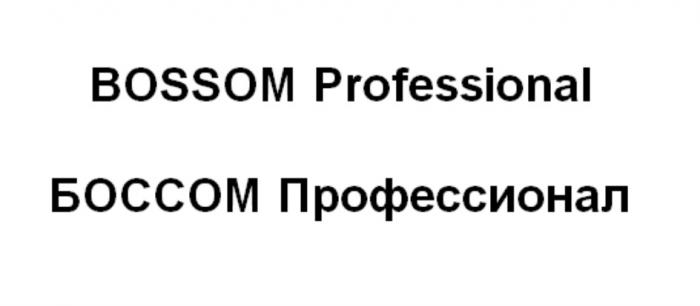 BOSSOM Professional БОССОМ ПрофессионалПрофессионал