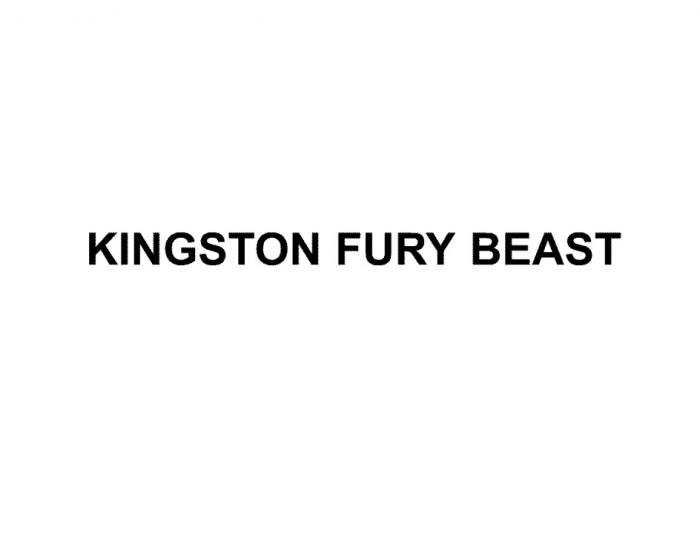 KINGSTON FURY BEASTBEAST