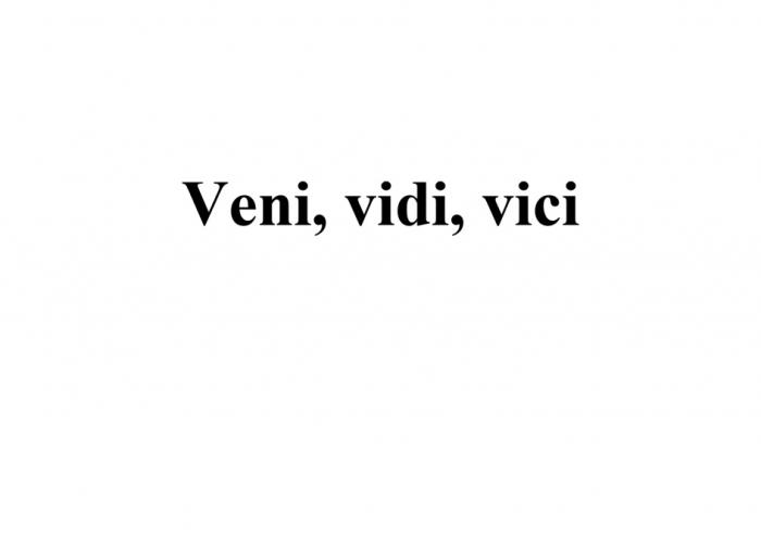 VENI VIDI VICIVICI