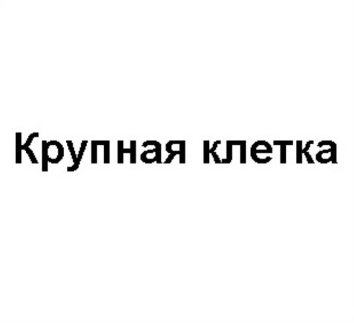 КРУПНАЯ КЛЕТКАКЛЕТКА