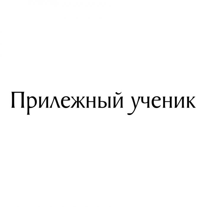 ПРИЛЕЖНЫЙ УЧЕНИКУЧЕНИК