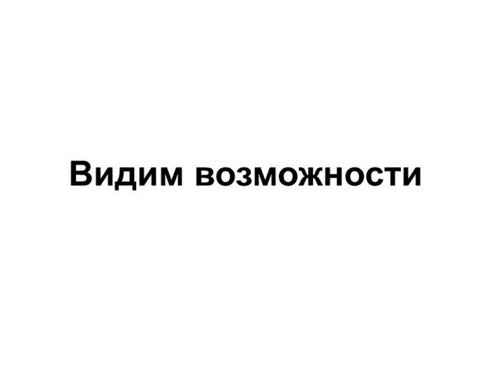 ВИДИМ ВОЗМОЖНОСТИВОЗМОЖНОСТИ